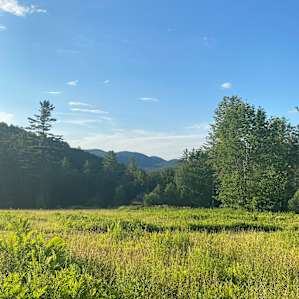 Birds Eye View Vermont