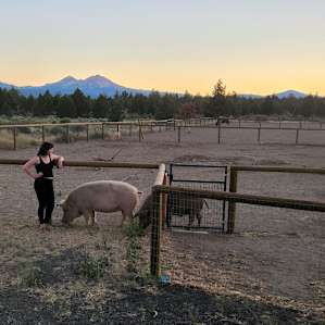 Tiny House on Farm Sanctuary