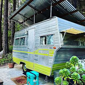 *NEW* Cozy Camper in the Redwoods