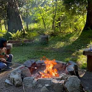 Smores by the campfire