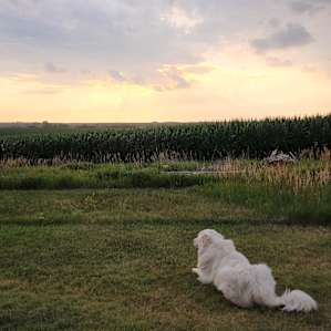 Hilltop Farm & Prairie