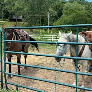 Horse Creek Adventures: RV sites