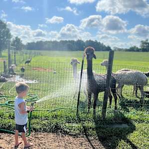 Rockwood Farm