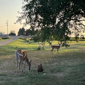 The Good Earth Farm RV Site
