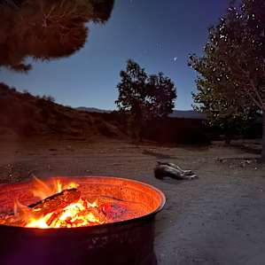 Stars, desert, dog, fire. It doesn't get much better.