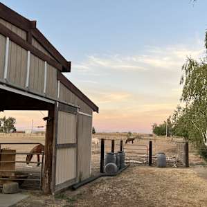 Hirst Horse Ranch Sites #3-5