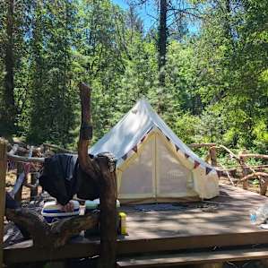 Glamping on the Creek