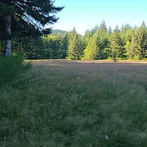 Field on other side of creek