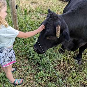 The Good Earth Farm RV Site