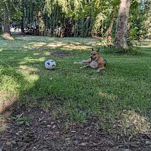Walden Ranch Camping