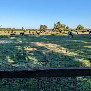 Walden Ranch Camping
