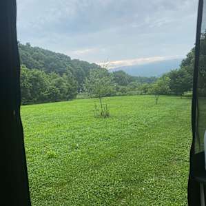 The Farm
