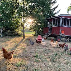 Peaceful Pastures Farm Camping
