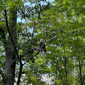 Neversink Sanctuary - Private Camp