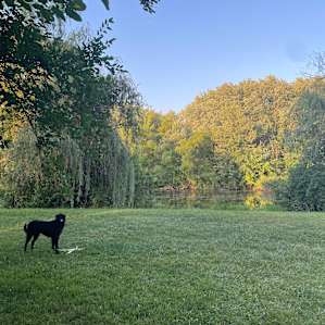 Peaceful Camping at Willowthorne