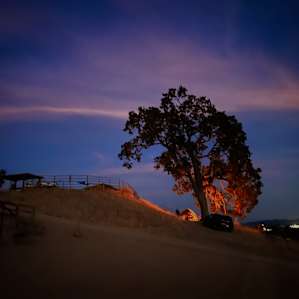Maverick Hill Ranch