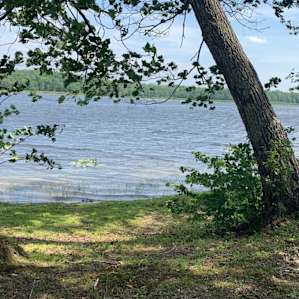 Peace of Maine~1/2 Mile Waterfront