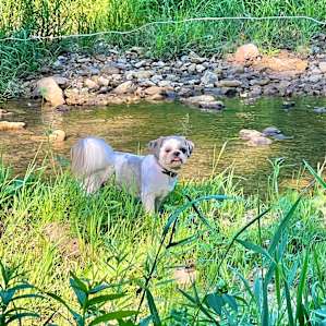 Trout fishing getaway