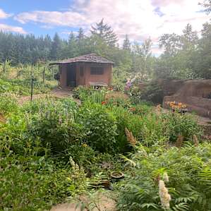 Muse Cabin forests edge on vineyard