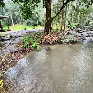 Cabin On The Creek