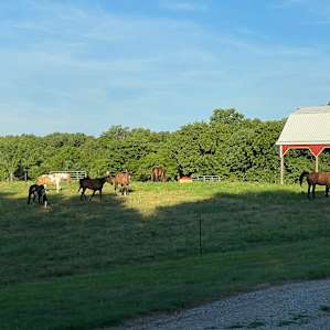 Selby Farm RV Sites