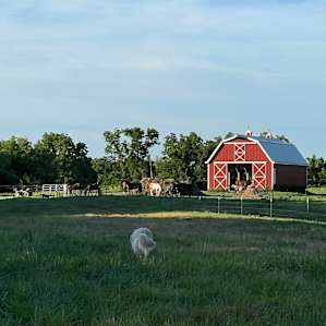 Selby Farm RV Sites