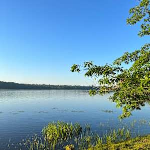 Peace of Maine~1/2 Mile Waterfront