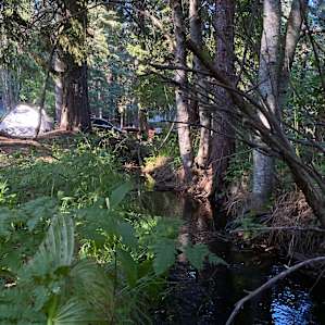 Sounds of the creek are nice