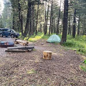 Peaceful Pines