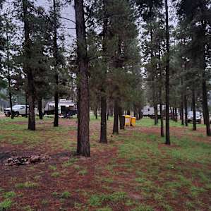 Little Eeden Farm Pine Camp