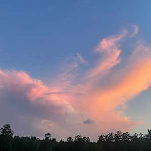 South Carolina skies over the farm