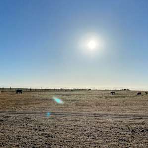 Walden Ranch Camping