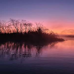 River Murray Camping