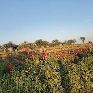 Prairie Land Ranch