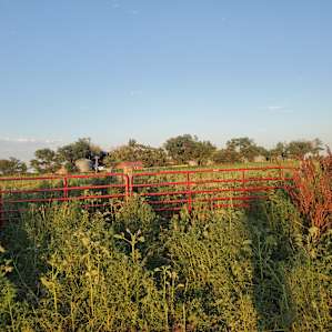 Prairie Land Ranch