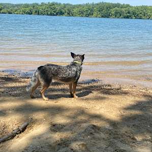 Camping on the Tennessee River