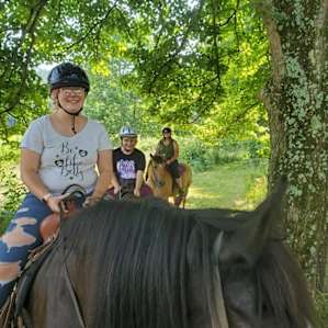 A Secluded Cabin With Horses