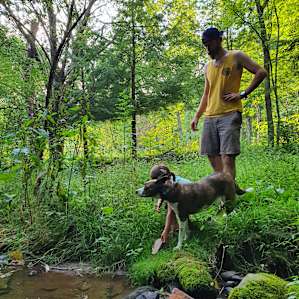 Lovely creek to cool off
