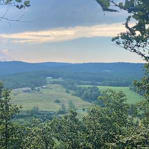 Tall Oaks Campsite