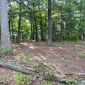 Tall Oaks Campsite