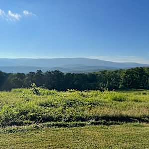My last morning at Green Mt