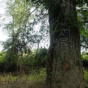 Camp SKYLARANNA