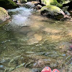 Heartstone at Mountain Creek Rest!