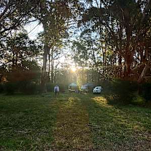 Burroman Flat Campsites
