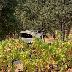 Camp in the Vineyards