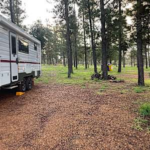 Roomy sites
