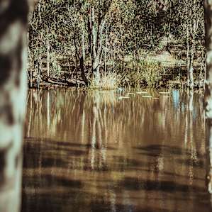 Ashton Grove Farm Campsites