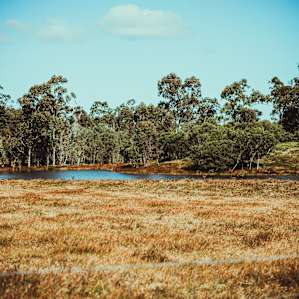 Ashton Grove Farm Campsites