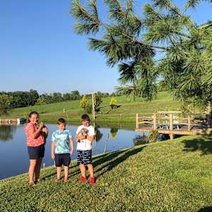 Fishing pond - very lovely