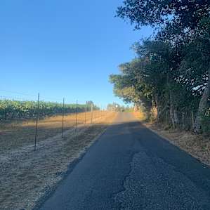 Beautiful roads for walks
